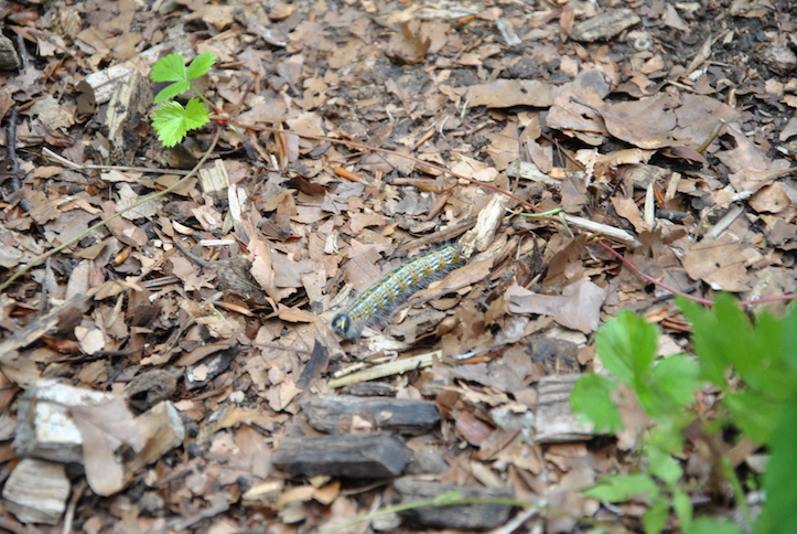 Catéchisme | Camp de catéchisme, 2014